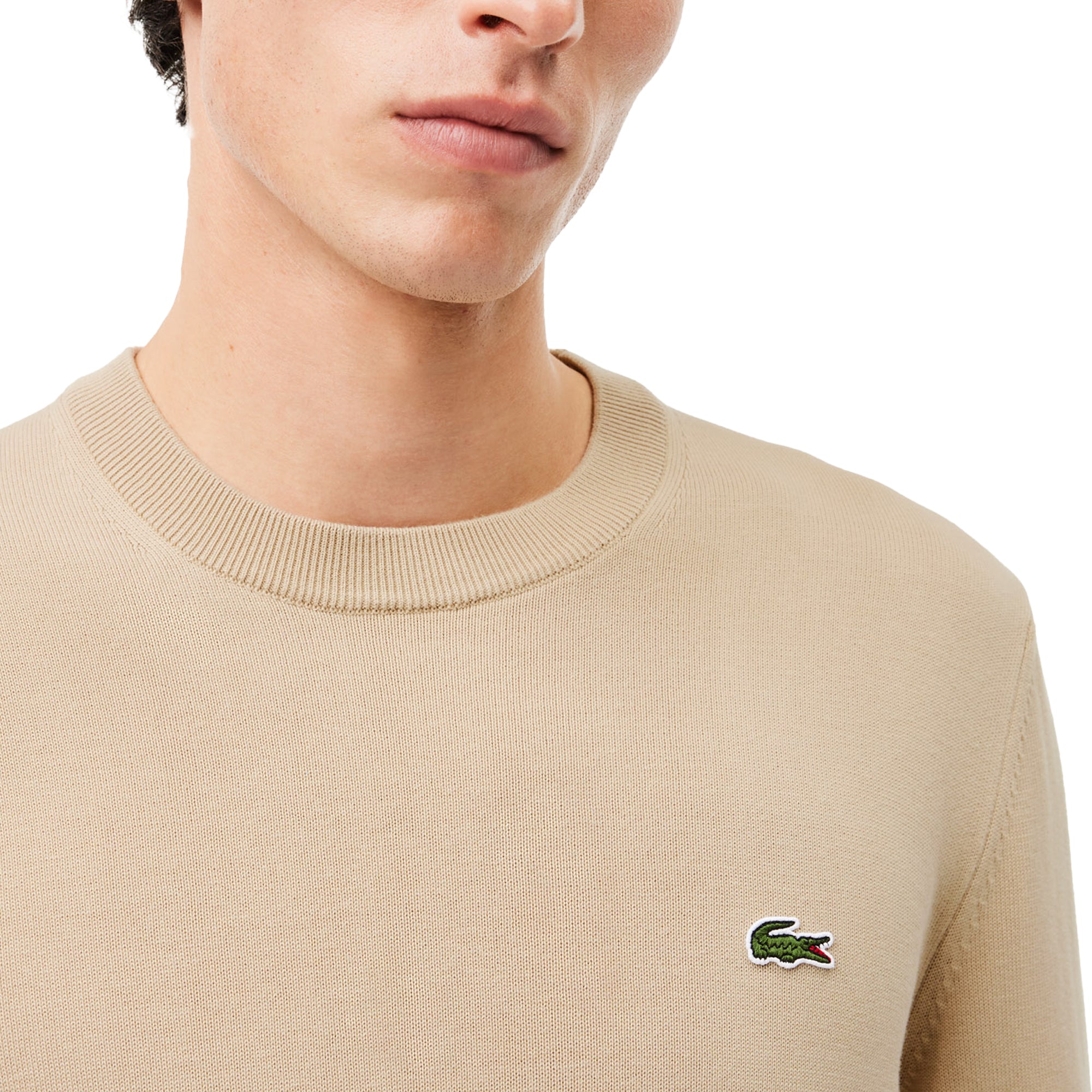 Lacoste AH1985 Cotton Crew Knit