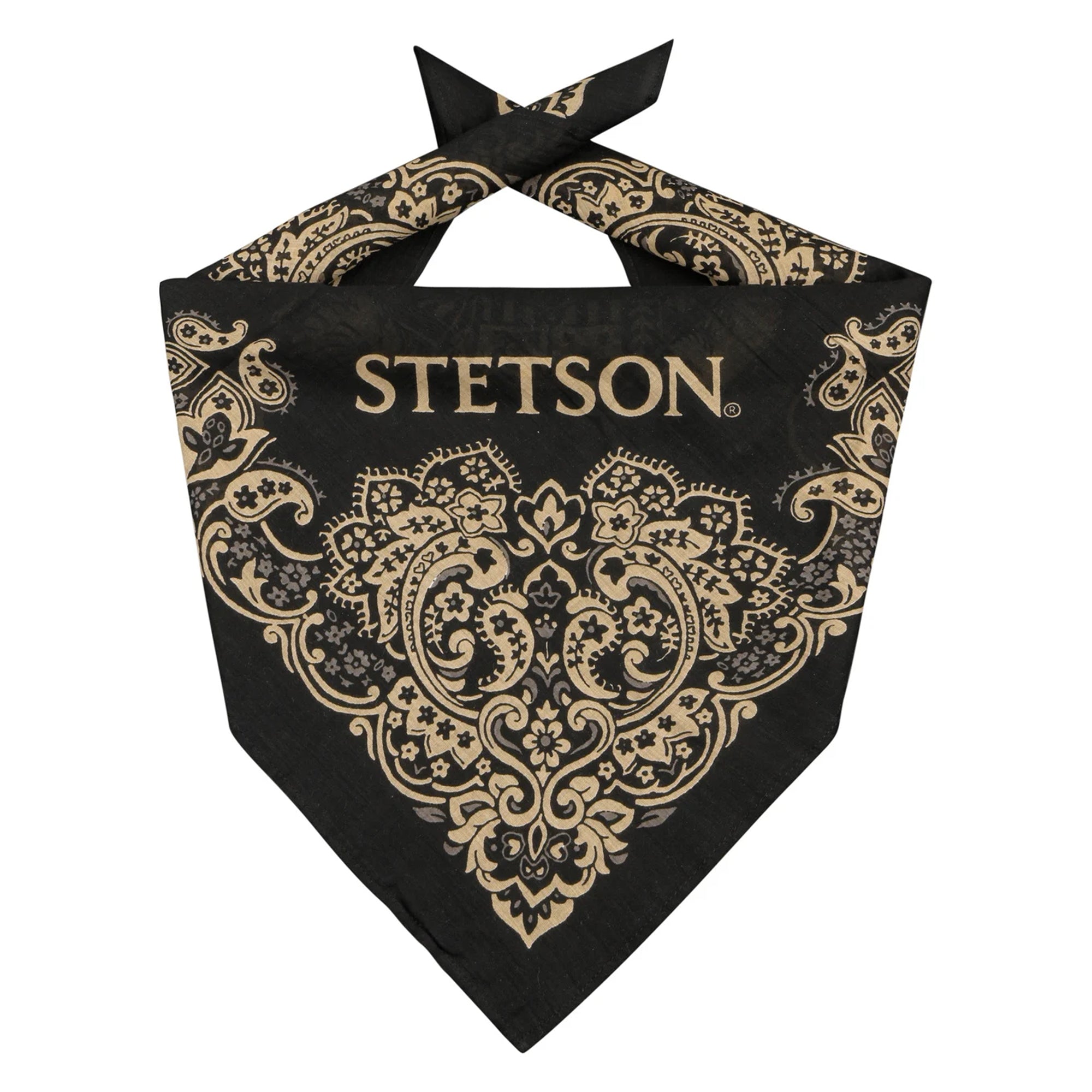 Stetson Paisley Bandana