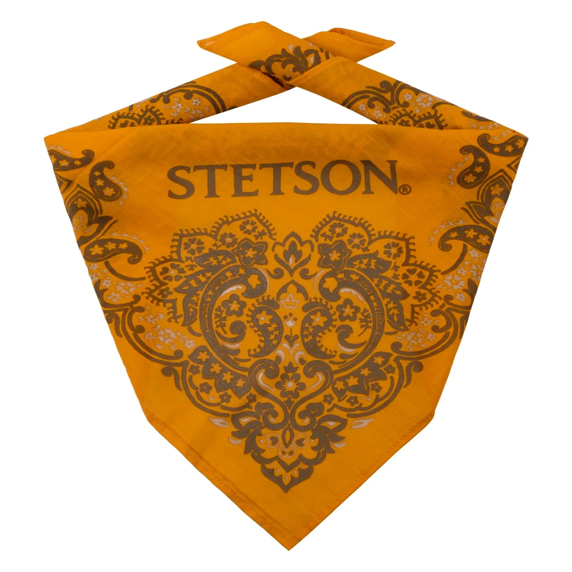 Stetson Paisley Bandana