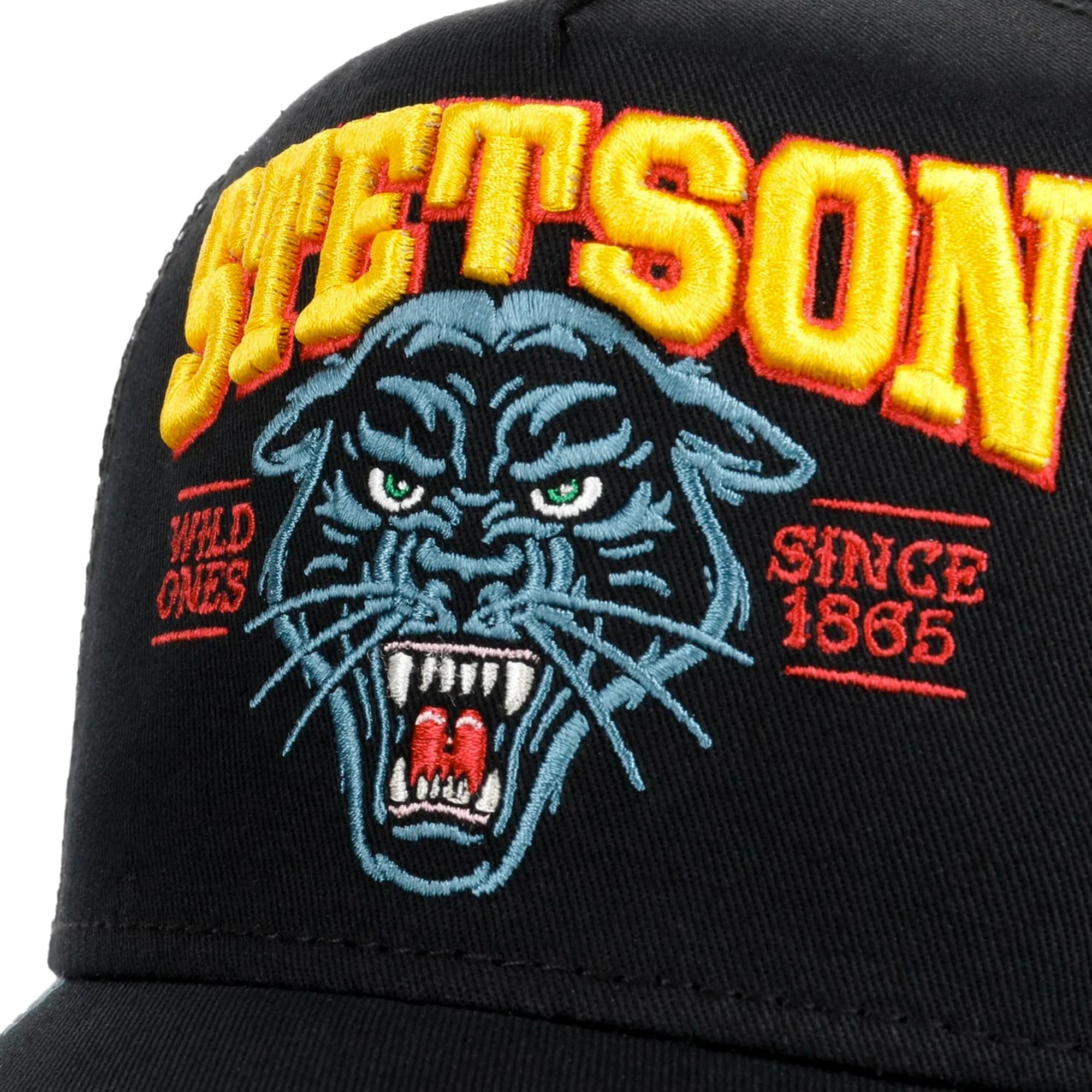 Stetson Trucker Cap